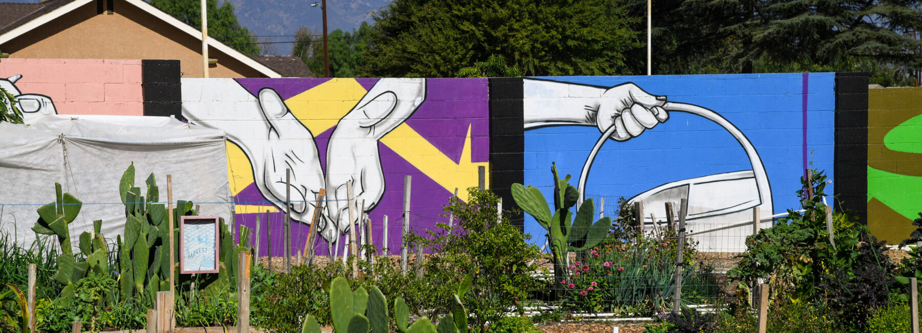 Community garden with mural